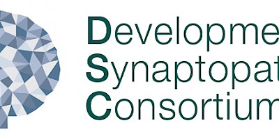 Developmental Synaptopathies Research Consortium